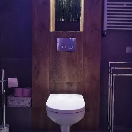 Zuza 公寓 波兰尼卡-兹德鲁伊